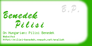 benedek pilisi business card